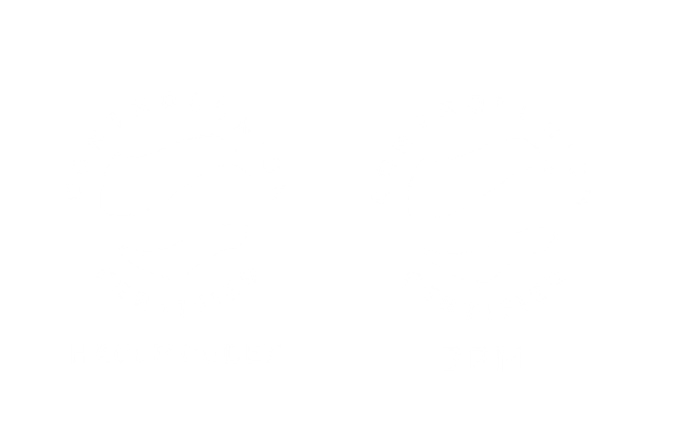 Control Union certified HACCP and GMP